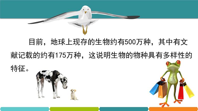 2.6 物种的多样性①课件—2021-2022学年浙教版七年级科学上册01