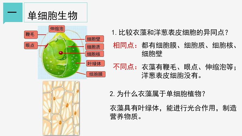 2.6 物种的多样性①课件—2021-2022学年浙教版七年级科学上册06