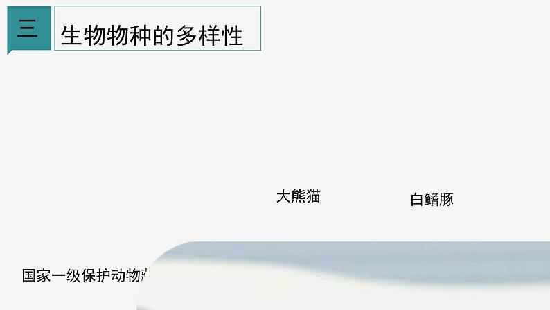 2.6 物种的多样性② 课件—2021-2022学年浙教版七年级科学上册05