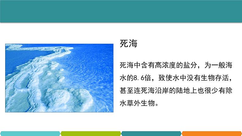 1.3  水的浮力 ① 课件—浙教版八年级科学上册02