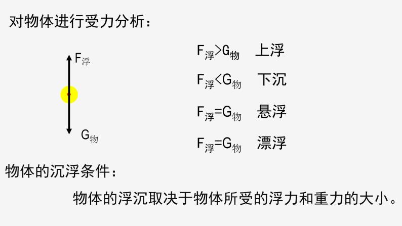 1.3 水的浮力 ③ 课件—浙教版八年级科学上册05