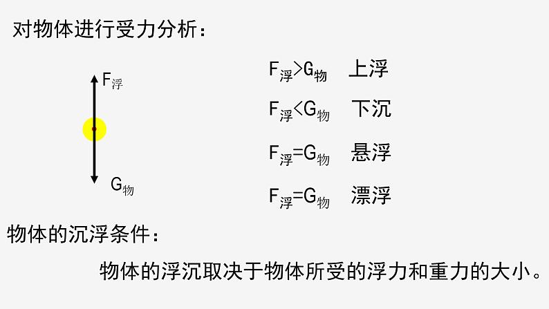 1.3 水的浮力 ③ 课件—浙教版八年级科学上册05