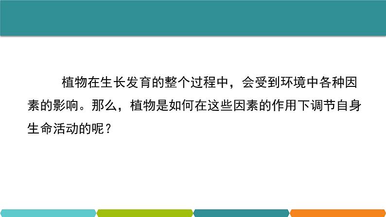 3.1  植物生命活动的调节① 课件—浙教版八年级科学上册02