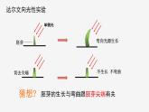 3.1  植物生命活动的调节② 课件—浙教版八年级科学上册