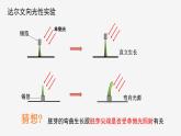 3.1  植物生命活动的调节② 课件—浙教版八年级科学上册