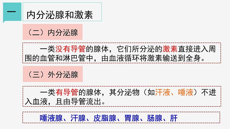 3.2  人体的激素调节 课件---浙教版八年级科学上册04