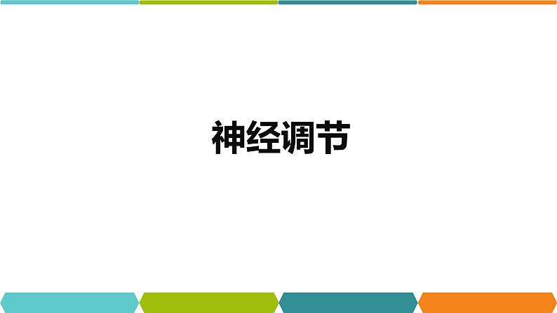 3.3 神经调节① 课件—浙教版八年级科学上册01