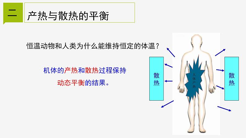 3.5  体温的控制  课件—浙教版八年级科学上册06