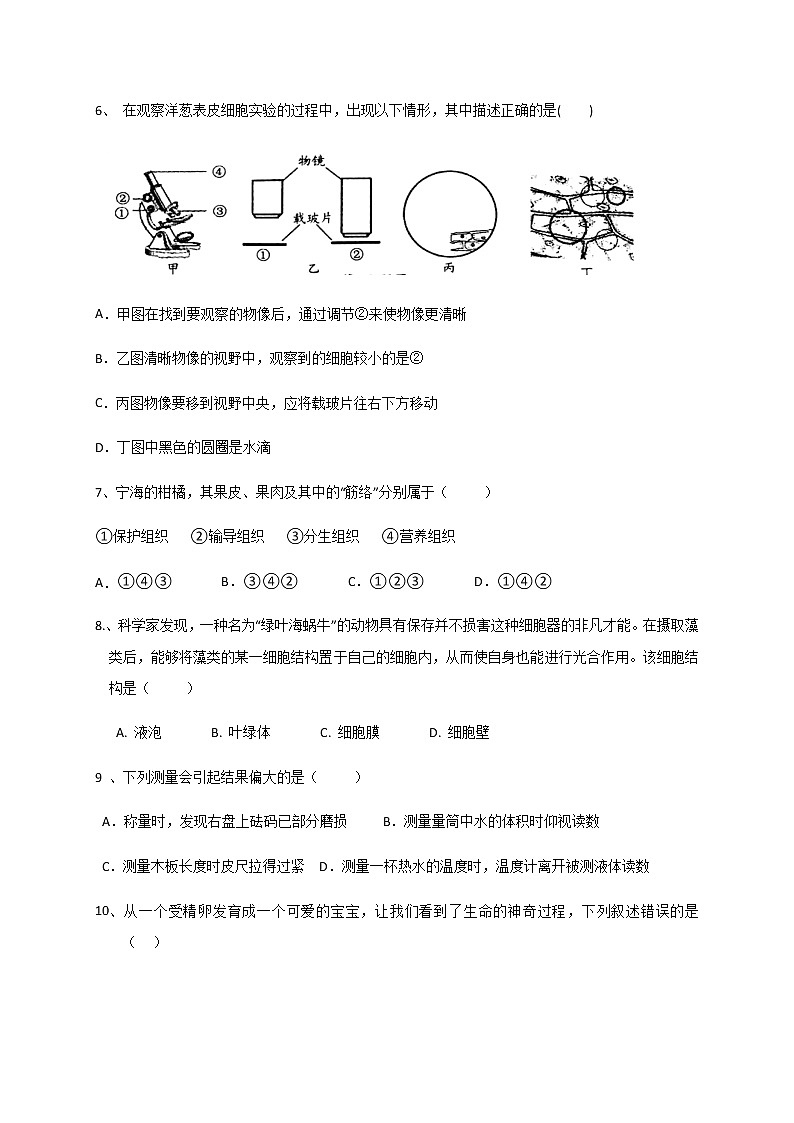 华师大科学七年级上册 期中试卷1第2页