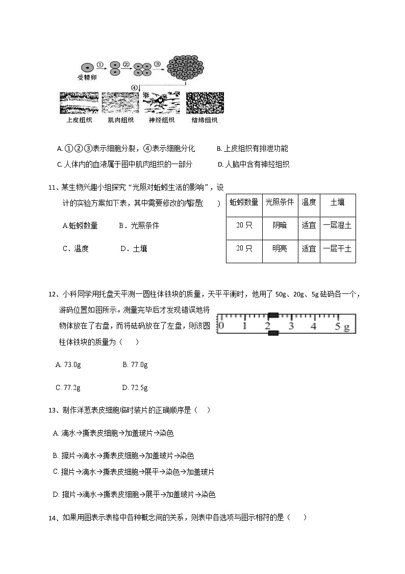 华师大科学七年级上册 期中试卷1第3页