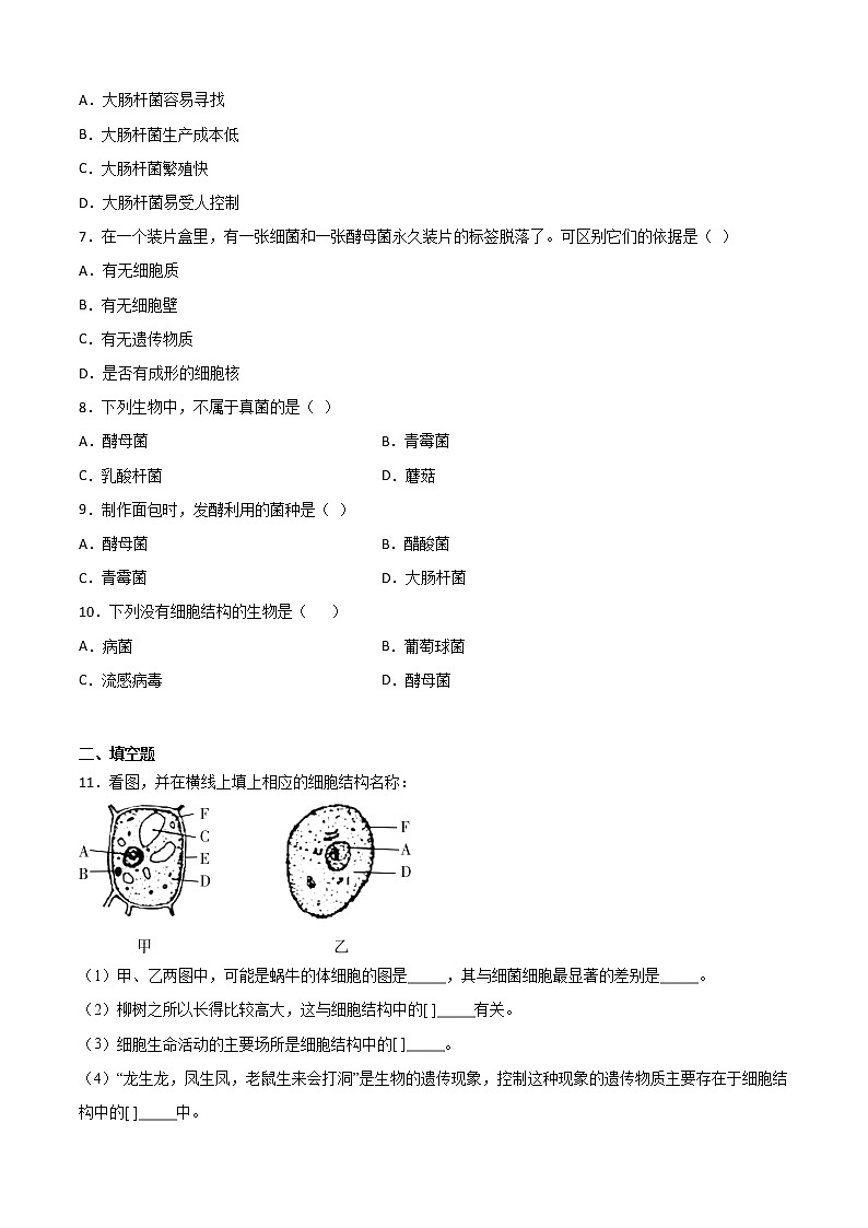华师大科学七年级上册 2.3细菌和真菌-同步习题（原卷版）02
