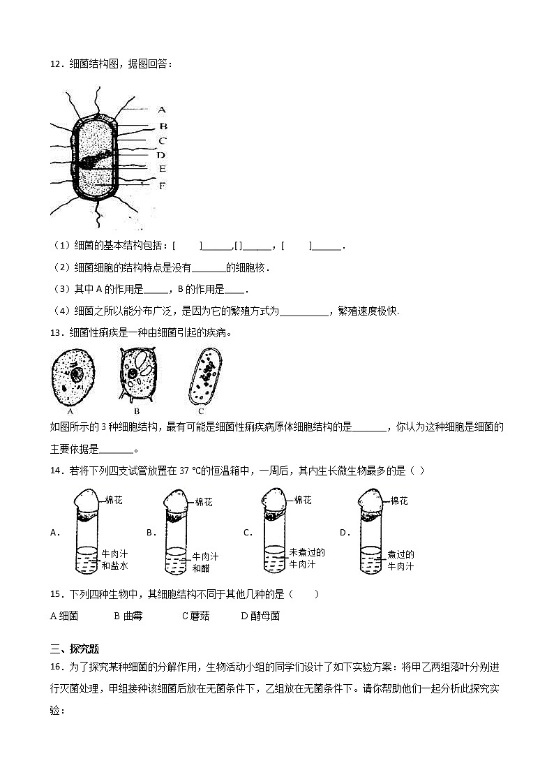 华师大科学七年级上册 2.3细菌和真菌-同步习题（原卷版）03