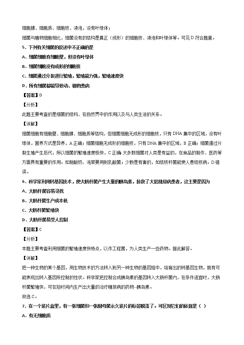 华师大科学七年级上册 2.3细菌和真菌-同步习题（解析版）03