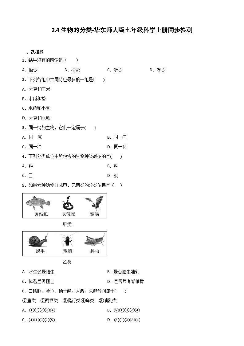 华师大科学七年级上册 2.4生物的分类-同步习题（原卷版）01