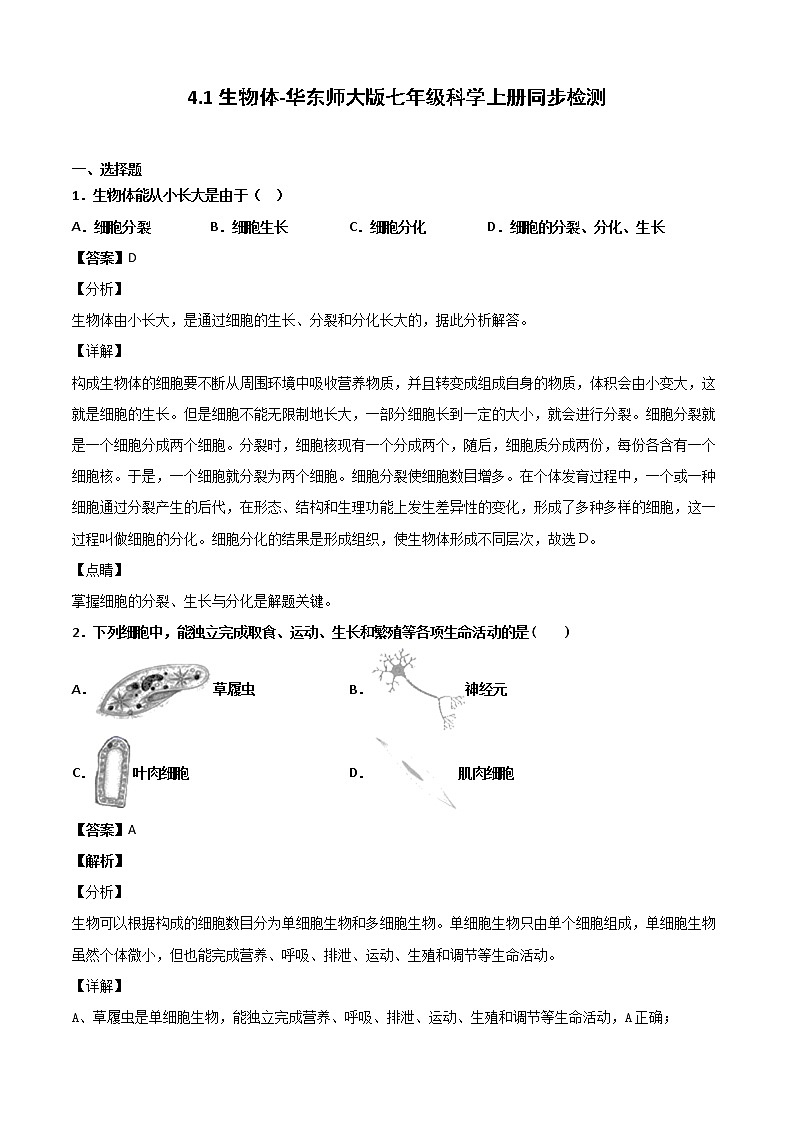 华师大科学七年级上册 4.1生物体-同步习题（解析版）01