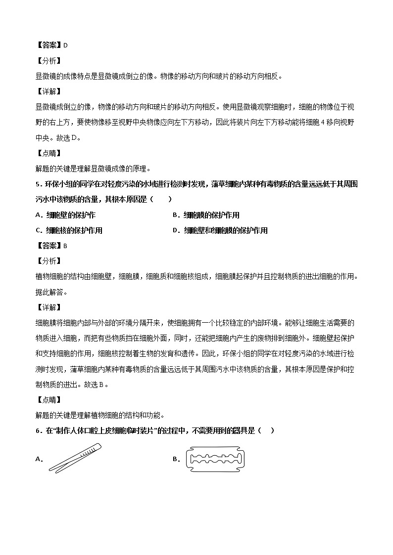 华师大科学七年级上册 4.2细胞-同步习题（解析版）03