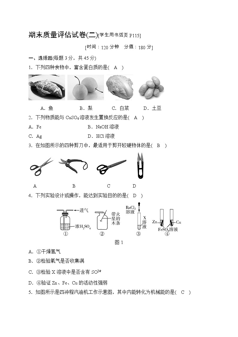 华师大科学九年级上册期末质量评估试卷（2）（含答案）第1页