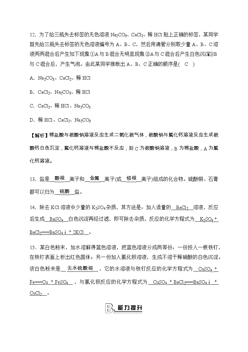 华师大科学九年级上册 3.3 常见的盐 同步测试（3课时，含答案）第3页