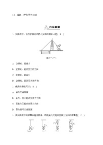 初中科学2 滑轮当堂检测题