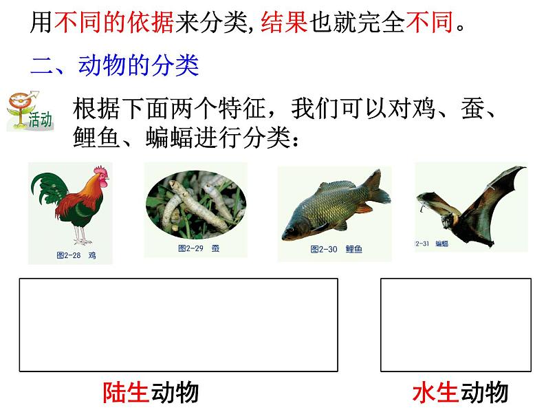 浙教版科学 七年级上册 第2章 第4节 常见的动物（第1课时） 课件06