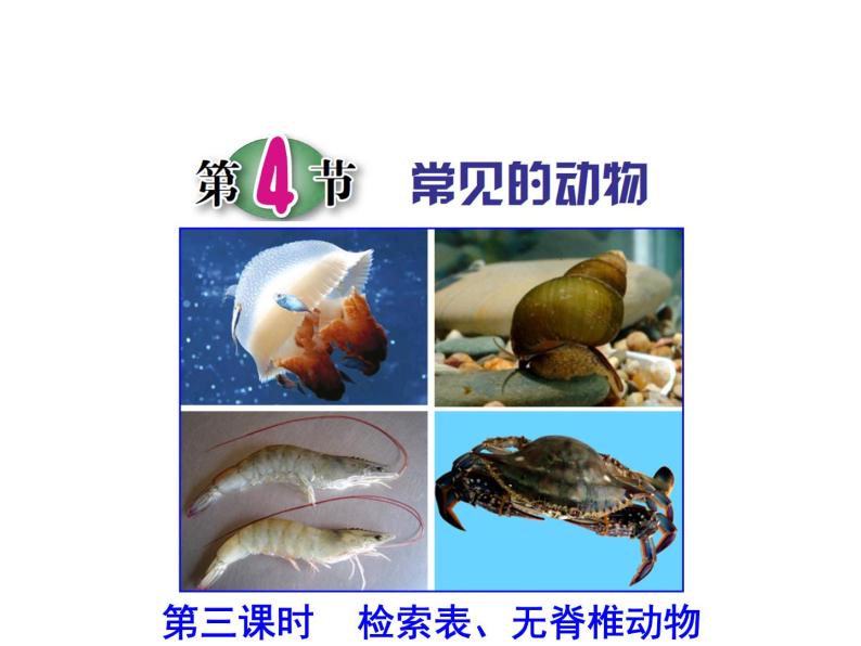 浙教版科学 七年级上册 第2章 第4节 常见的动物（第3课时） 课件01