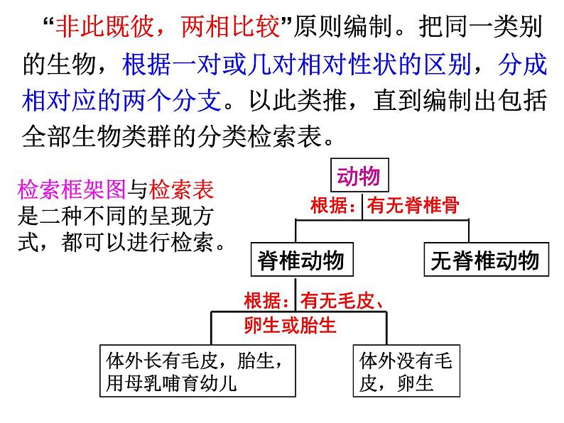 浙教版科学 七年级上册 第2章 第4节 常见的动物（第3课时） 课件03