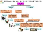 浙教版科学 七年级上册 第2章 第4节 常见的动物（第3课时） 课件