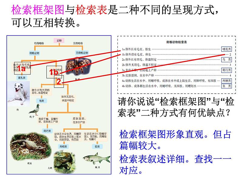 浙教版科学 七年级上册 第2章 第4节 常见的动物（第3课时） 课件06