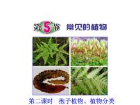 初中科学浙教版七年级上册第5节 常见的植物课堂教学ppt课件