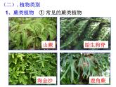 浙教版科学 七年级上册 第2章 第5节 常见的植物（第2课时） 课件