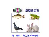 浙教版科学 七年级上册 第2章 第4节 常见的动物（第2课时） 课件