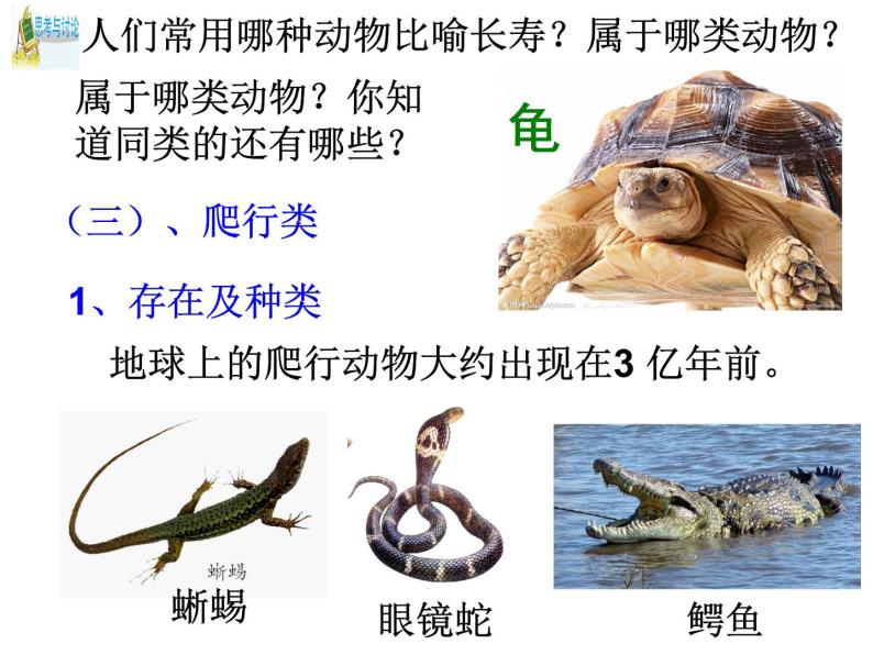 浙教版科学 七年级上册 第2章 第4节 常见的动物（第2课时） 课件07