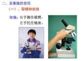 浙教版科学 七年级上册 第2章 第2节 第2节 细胞（第2课时） 课件