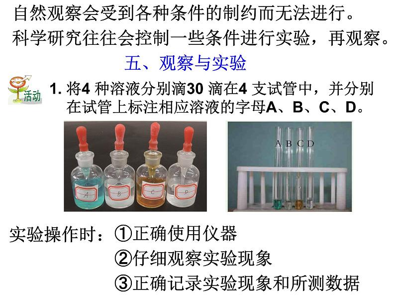 浙教版科学 七年级上册 第1章 第3节 科学观察 课件05