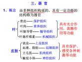 浙教版科学 七年级上册 第2章 第3节 生物体的结构层次（第3课时） 课件