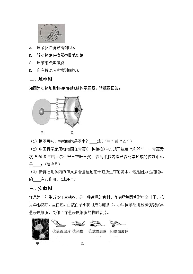 浙教版科学七年级上2.2《细胞》课件+教案+同步练习02