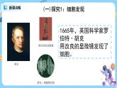 浙教版科学七年级上2.2《细胞》课件+教案+同步练习