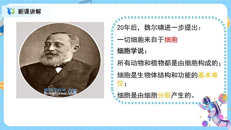 浙教版科学七年级上2.2《细胞》课件+教案+同步练习06