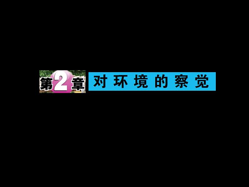 第1节 感觉世界（第2课时）第1页