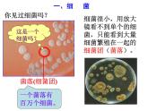 浙教版科学 七年级下册 第1章 第6节 细菌和真菌的繁殖（第1课时） 课件