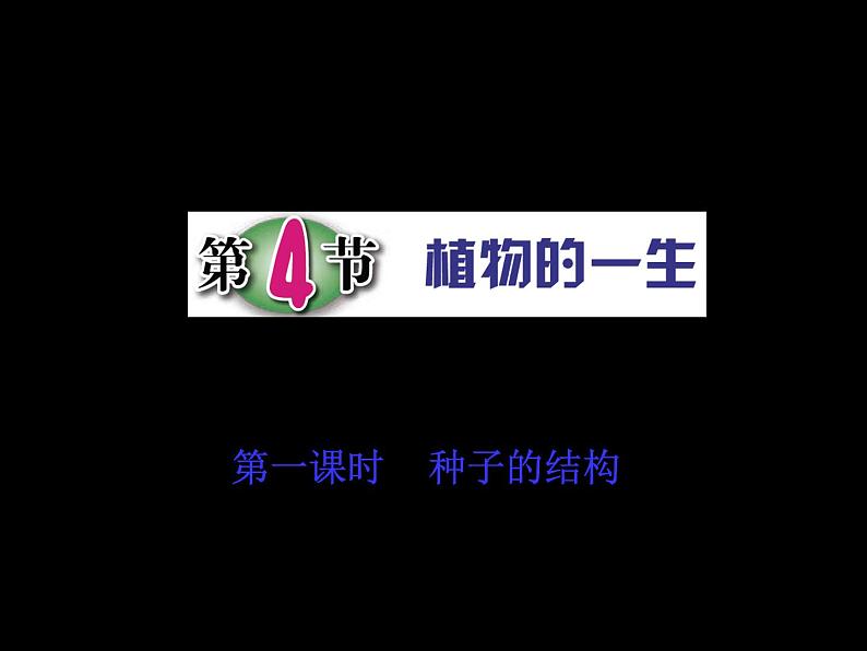 第4节 植物的一生（第1课时）第1页