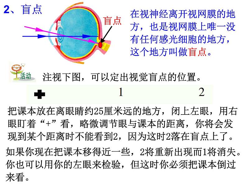 第6节 透镜和视觉（第4课时）第7页