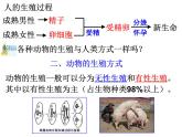 浙教版科学 七年级下册 第1章 第3节 动物的生长时期（第2课时） 课件