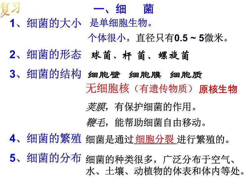 浙教版科学 七年级下册 第1章 第6节 细菌和真菌的繁殖（第2课时） 课件03