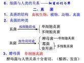 浙教版科学 七年级下册 第1章 第6节 细菌和真菌的繁殖（第2课时） 课件