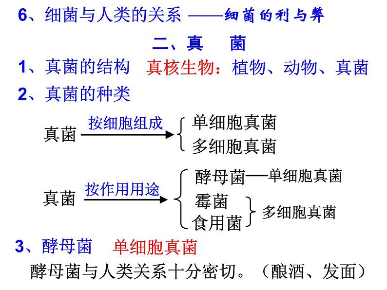 浙教版科学 七年级下册 第1章 第6节 细菌和真菌的繁殖（第2课时） 课件04