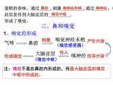 浙教版科学 七年级下册 第2章 第1节 感觉世界（第1课时） 课件