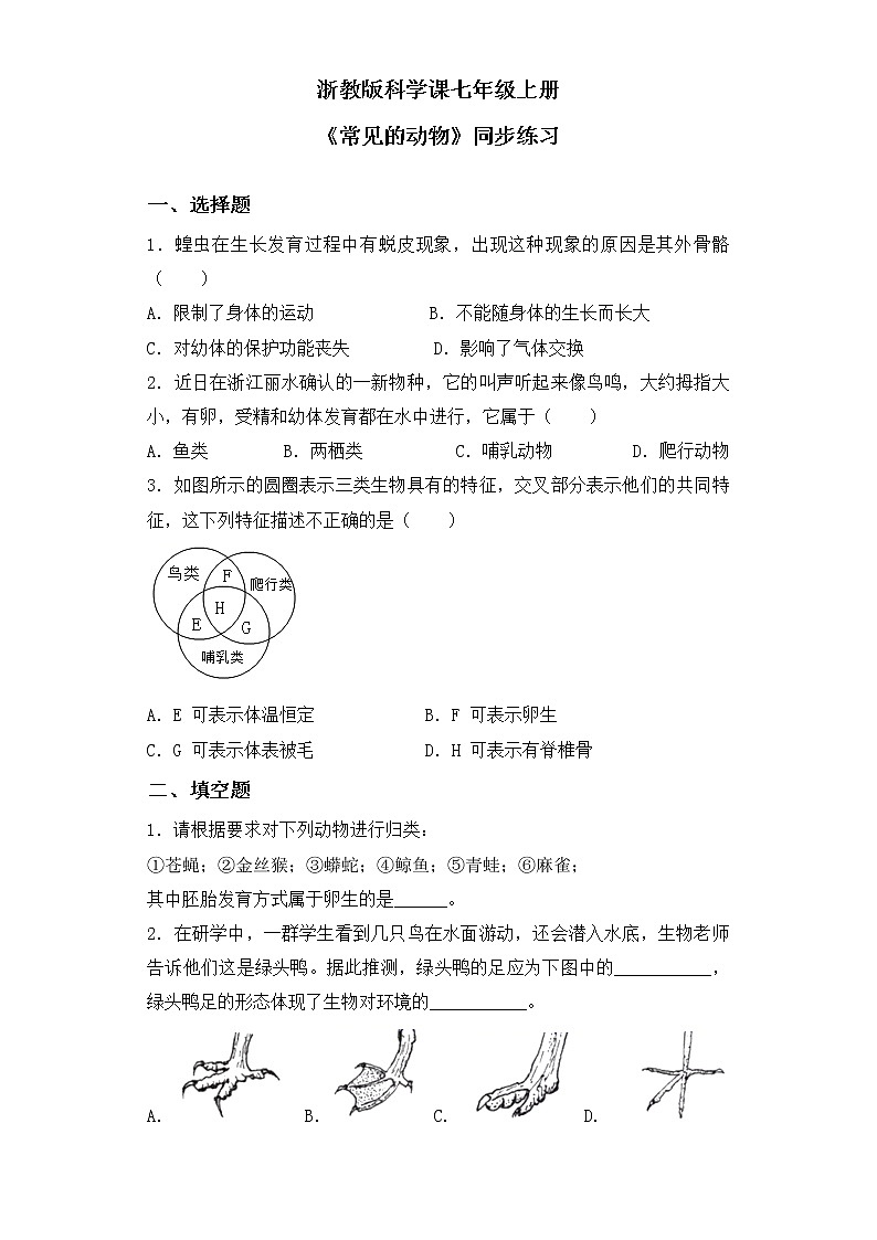 浙教版科学七年级上2.4《常见的动物》课件+教案+同步练习01