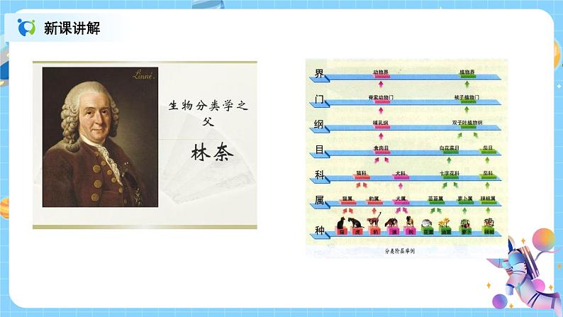 浙教版科学七年级上2.4《常见的动物》课件+教案+同步练习06