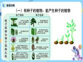 浙教版科学七年级上2.5《常见的植物》课件+教案+同步练习